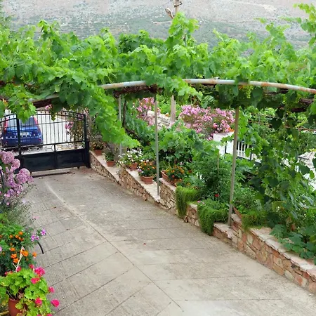 Panorama Nivice 3* Saranda