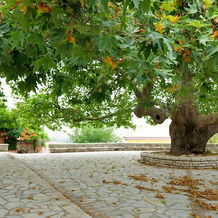 בית הארחה Panorama Nivice *